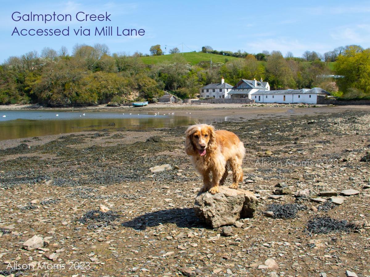 Dart Haven - Cheerful Holiday Bungalow In Galmpton Екстер'єр фото